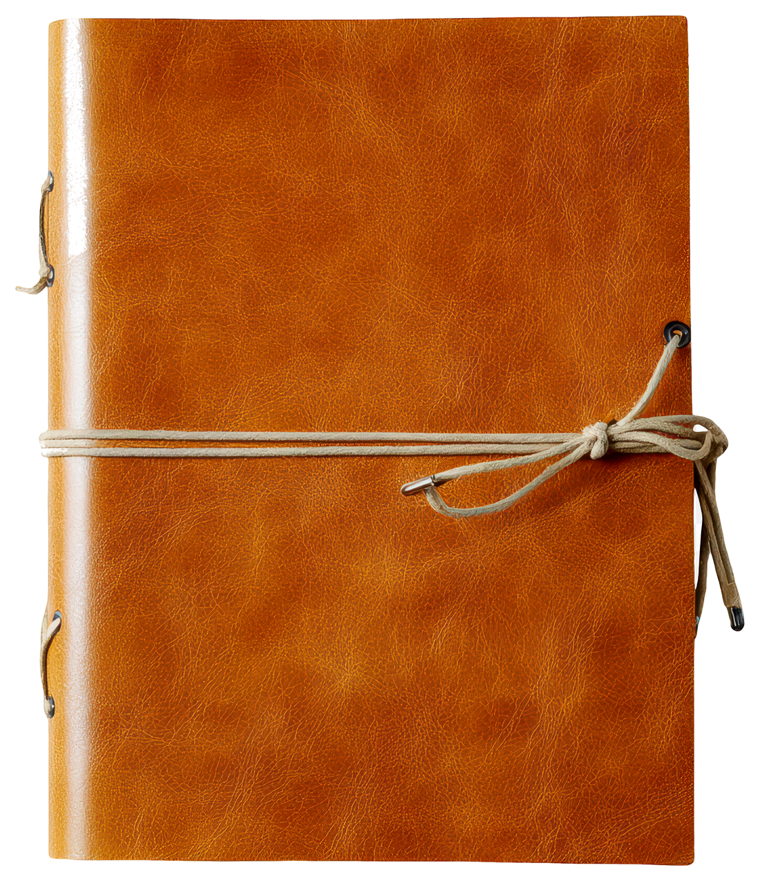 The diary, closed.